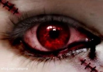 Oeil