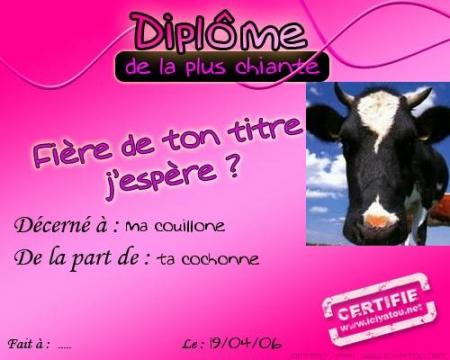 PETIT diplôme qui M'appartient !
