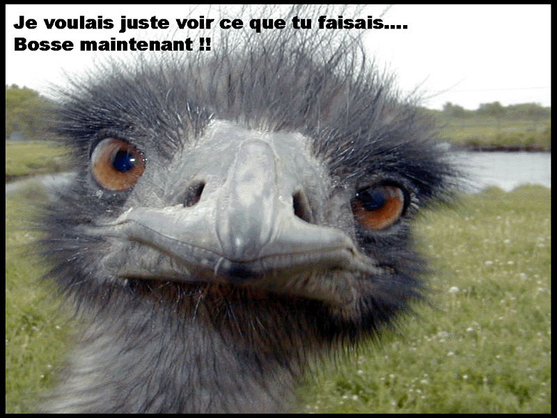 mdr !