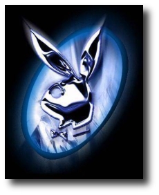 PLAYBOY